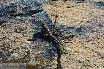 Nas Ikaria | Griekenland | Foto 12 - Foto van https://www.grieksegids.nl/fotos/ikaria/normaal/nas-ikaria-012.jpg