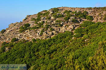 Noordkust Ikaria | Griekenland | Foto 2 - Foto van https://www.grieksegids.nl/fotos/ikaria/normaal/noordkust-ikaria-002.jpg