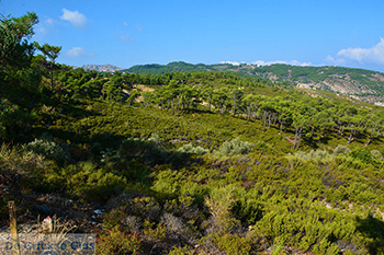 Berggebied Raches Ikaria | Griekenland | Foto 2 - Foto van https://www.grieksegids.nl/fotos/ikaria/normaal/raches-ikaria-002.jpg