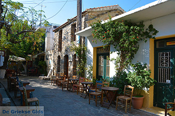 Berggebied Raches Ikaria | Griekenland | Foto 10 - Foto van https://www.grieksegids.nl/fotos/ikaria/normaal/raches-ikaria-010.jpg