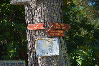 Berggebied Raches Ikaria | Griekenland | Foto 20 - Foto van https://www.grieksegids.nl/fotos/ikaria/normaal/raches-ikaria-020.jpg