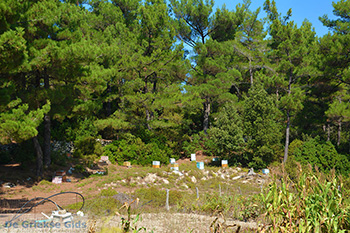 Berggebied Raches Ikaria | Griekenland | Foto 22 - Foto van https://www.grieksegids.nl/fotos/ikaria/normaal/raches-ikaria-022.jpg