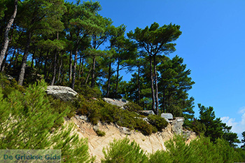 Berggebied Raches Ikaria | Griekenland | Foto 28 - Foto van https://www.grieksegids.nl/fotos/ikaria/normaal/raches-ikaria-028.jpg