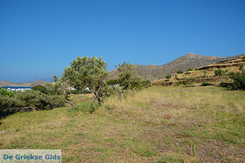 Skarkos Chora Ios - Eiland Ios - Cycladen Griekenland foto 171 - Foto van https://www.grieksegids.nl/fotos/ios/normaal/eiland-ios-171.jpg