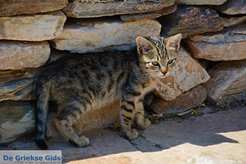 Agia Theodoti Ios - Eiland Ios - Cycladen Griekenland foto 277 - Foto van https://www.grieksegids.nl/fotos/ios/normaal/eiland-ios-277.jpg