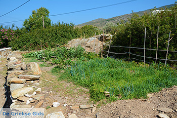 Psathi Ios - Eiland Ios - Cycladen Griekenland foto 312 - Foto van https://www.grieksegids.nl/fotos/ios/normaal/eiland-ios-312.jpg