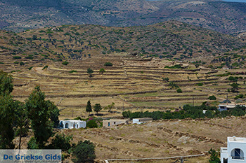 Skarkos Chora Ios - Eiland Ios - Cycladen Griekenland foto 402 - Foto van https://www.grieksegids.nl/fotos/ios/normaal/eiland-ios-402.jpg