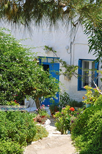 Eiland Iraklia | Cycladen | De Griekse Gids | nr 122 - Foto van https://www.grieksegids.nl/fotos/iraklia/normaal/eiland-iraklia-122.jpg