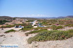 GriechenlandWeb Sitia Lassithi Kreta - Foto GriechenlandWeb.de