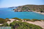 GriechenlandWeb Sitia Lassithi Kreta - Foto GriechenlandWeb.de