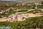 GriechenlandWeb Sitia Lassithi Kreta - Foto GriechenlandWeb.de