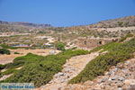 GriechenlandWeb Itanos und Erimoupoli | Lassithi Kreta | Foto 34 - Foto GriechenlandWeb.de