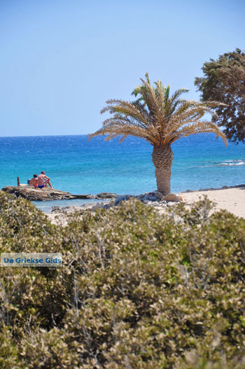 Itanos en Erimoupoli | Lassithi Kreta | Foto 3 - Foto van https://www.grieksegids.nl/fotos/itanos/normaal/itanos-erimoupoli-kreta-003.jpg