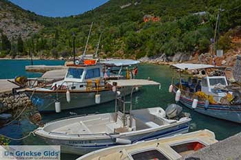 Pisaetos Ithaki - Ionische eilanden -  Foto 3 - Foto van https://www.grieksegids.nl/fotos/ithaki/350pix/pisaetos-ithaki-003.jpg