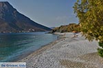 Myrties - Eiland Kalymnos -  Foto 13 - Foto van De Griekse Gids