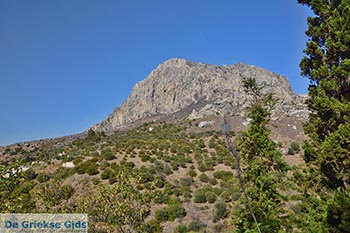 Myrties - Eiland Kalymnos -  Foto 1 - Foto van https://www.grieksegids.nl/fotos/kalymnos/myrties-kalymnos/normaal/myrties-kalymnos-001.jpg