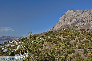 Myrties - Eiland Kalymnos -  Foto 3 - Foto van https://www.grieksegids.nl/fotos/kalymnos/myrties-kalymnos/normaal/myrties-kalymnos-003.jpg