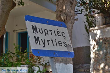 Myrties - Eiland Kalymnos -  Foto 7 - Foto van https://www.grieksegids.nl/fotos/kalymnos/myrties-kalymnos/normaal/myrties-kalymnos-007.jpg