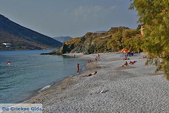 Myrties - Eiland Kalymnos -  Foto 12 - Foto van https://www.grieksegids.nl/fotos/kalymnos/myrties-kalymnos/normaal/myrties-kalymnos-012.jpg