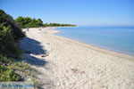 Pefkochori | Kassandra Chalkidiki | Griekenland 25 - Foto van De Griekse Gids