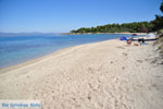 Golden Beach bij Pefkochori | Kassandra Chalkidiki | Griekenland 1 - Foto van De Griekse Gids