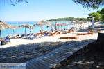 Golden Beach bij Pefkochori | Kassandra Chalkidiki | Griekenland 3 - Foto van De Griekse Gids