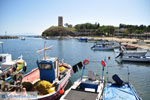 Nea Fokea | Kassandra Chalkidiki | Griekenland 21 - Foto van De Griekse Gids