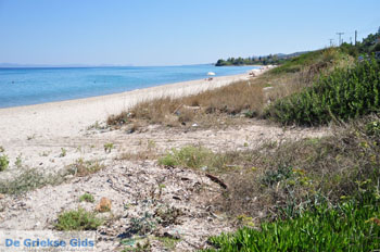 Kriopigi | Kassandra Chalkidiki | Griekenland 5 - Foto van https://www.grieksegids.nl/fotos/kassandra-chalkidiki/normaal/kassandra-chalkidiki-027.jpg