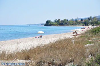 Kriopigi | Kassandra Chalkidiki | Griekenland 6 - Foto van https://www.grieksegids.nl/fotos/kassandra-chalkidiki/normaal/kassandra-chalkidiki-028.jpg