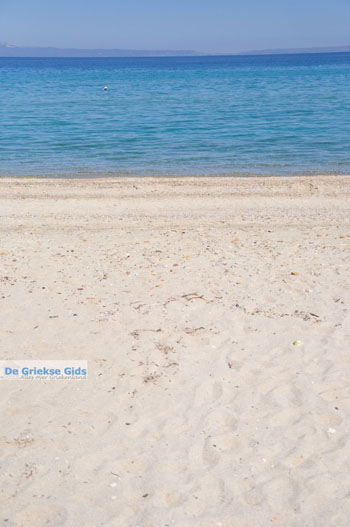 Polichrono | Kassandra Chalkidiki | Griekenland 1 - Foto van https://www.grieksegids.nl/fotos/kassandra-chalkidiki/normaal/kassandra-chalkidiki-032.jpg