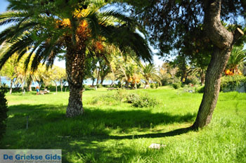 Chanioti | Kassandra Chalkidiki | Griekenland 5 - Foto van https://www.grieksegids.nl/fotos/kassandra-chalkidiki/normaal/kassandra-chalkidiki-053.jpg