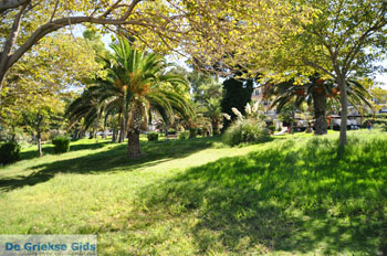 Chanioti | Kassandra Chalkidiki | Griekenland 8 - Foto van https://www.grieksegids.nl/fotos/kassandra-chalkidiki/normaal/kassandra-chalkidiki-056.jpg