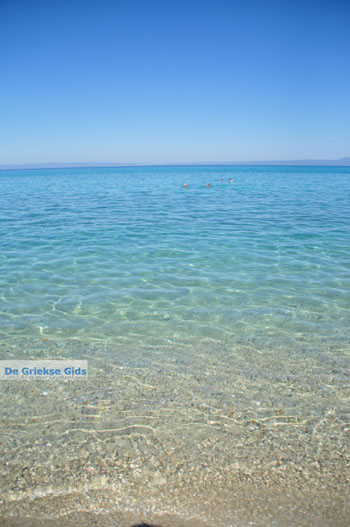 Chanioti | Kassandra Chalkidiki | Griekenland 18 - Foto van https://www.grieksegids.nl/fotos/kassandra-chalkidiki/normaal/kassandra-chalkidiki-066.jpg