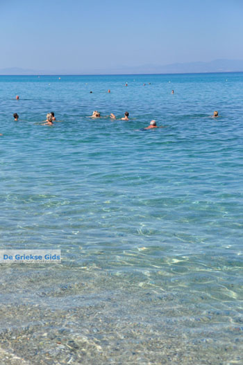 Chanioti | Kassandra Chalkidiki | Griekenland 20 - Foto van https://www.grieksegids.nl/fotos/kassandra-chalkidiki/normaal/kassandra-chalkidiki-068.jpg