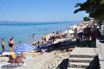 Pefkochori | Kassandra Chalkidiki | Griekenland 3 - Foto van https://www.grieksegids.nl/fotos/kassandra-chalkidiki/normaal/kassandra-chalkidiki-079.jpg