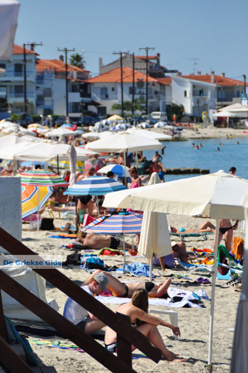 Pefkochori | Kassandra Chalkidiki | Griekenland 6 - Foto van https://www.grieksegids.nl/fotos/kassandra-chalkidiki/normaal/kassandra-chalkidiki-082.jpg