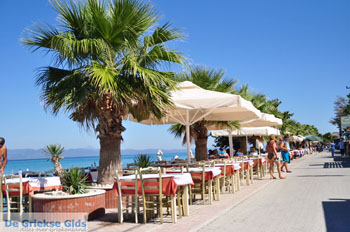 Pefkochori | Kassandra Chalkidiki | Griekenland 18 - Foto van https://www.grieksegids.nl/fotos/kassandra-chalkidiki/normaal/kassandra-chalkidiki-094.jpg