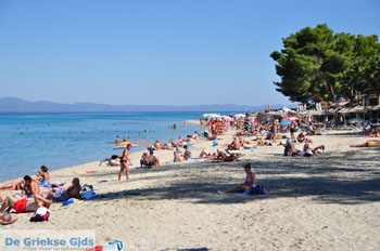 Pefkochori | Kassandra Chalkidiki | Griekenland 19 - Foto van https://www.grieksegids.nl/fotos/kassandra-chalkidiki/normaal/kassandra-chalkidiki-095.jpg