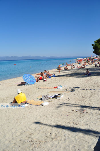 Pefkochori | Kassandra Chalkidiki | Griekenland 21 - Foto van https://www.grieksegids.nl/fotos/kassandra-chalkidiki/normaal/kassandra-chalkidiki-097.jpg