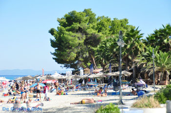 Pefkochori | Kassandra Chalkidiki | Griekenland 22 - Foto van https://www.grieksegids.nl/fotos/kassandra-chalkidiki/normaal/kassandra-chalkidiki-098.jpg