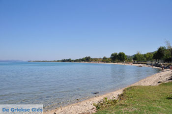 Pefkochori | Kassandra Chalkidiki | Griekenland 24 - Foto van https://www.grieksegids.nl/fotos/kassandra-chalkidiki/normaal/kassandra-chalkidiki-100.jpg