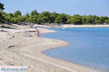 Pefkochori | Kassandra Chalkidiki | Griekenland 26 - Foto van https://www.grieksegids.nl/fotos/kassandra-chalkidiki/normaal/kassandra-chalkidiki-102.jpg