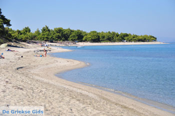 Pefkochori | Kassandra Chalkidiki | Griekenland 27 - Foto van https://www.grieksegids.nl/fotos/kassandra-chalkidiki/normaal/kassandra-chalkidiki-103.jpg