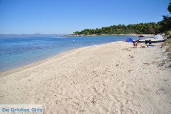 Golden Beach bij Pefkochori | Kassandra Chalkidiki | Griekenland 1 - Foto van https://www.grieksegids.nl/fotos/kassandra-chalkidiki/normaal/kassandra-chalkidiki-104.jpg