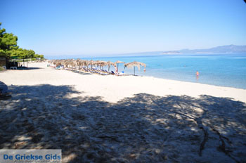 Golden Beach bij Pefkochori | Kassandra Chalkidiki | Griekenland 5 - Foto van https://www.grieksegids.nl/fotos/kassandra-chalkidiki/normaal/kassandra-chalkidiki-108.jpg