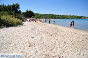 Chrousso beach bij Paliouri | Kassandra Chalkidiki | Griekenland 3 - Foto van De Griekse Gids