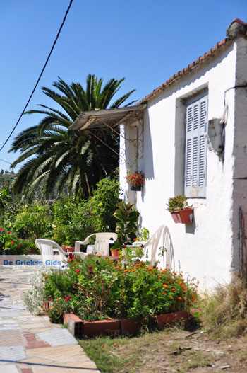 Aghia Paraskevi | Kassandra Chalkidiki | Griekenland 2 - Foto van https://www.grieksegids.nl/fotos/kassandra-chalkidiki/normaal/kassandra-chalkidiki-135.jpg