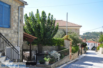 Aghia Paraskevi | Kassandra Chalkidiki | Griekenland 3 - Foto van https://www.grieksegids.nl/fotos/kassandra-chalkidiki/normaal/kassandra-chalkidiki-136.jpg