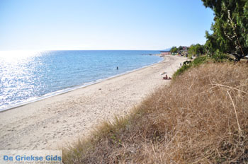 Skioni en Nea Skioni | Kassandra Chalkidiki | Griekenland 8 - Foto van https://www.grieksegids.nl/fotos/kassandra-chalkidiki/normaal/kassandra-chalkidiki-161.jpg