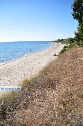 Skioni en Nea Skioni | Kassandra Chalkidiki | Griekenland 9 - Foto van https://www.grieksegids.nl/fotos/kassandra-chalkidiki/normaal/kassandra-chalkidiki-162.jpg